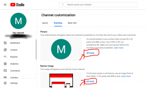 profile picture upload