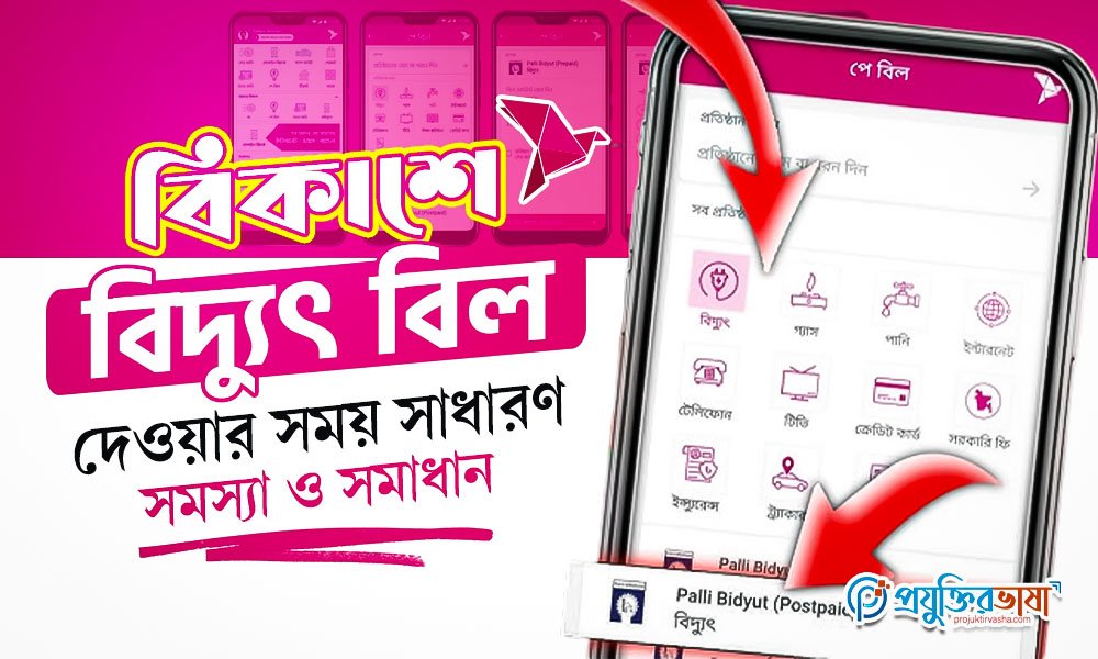 বিকাশে বিদ্যুৎ বিল দেওয়ার সময় সাধারণ সমস্যা ও সমাধান