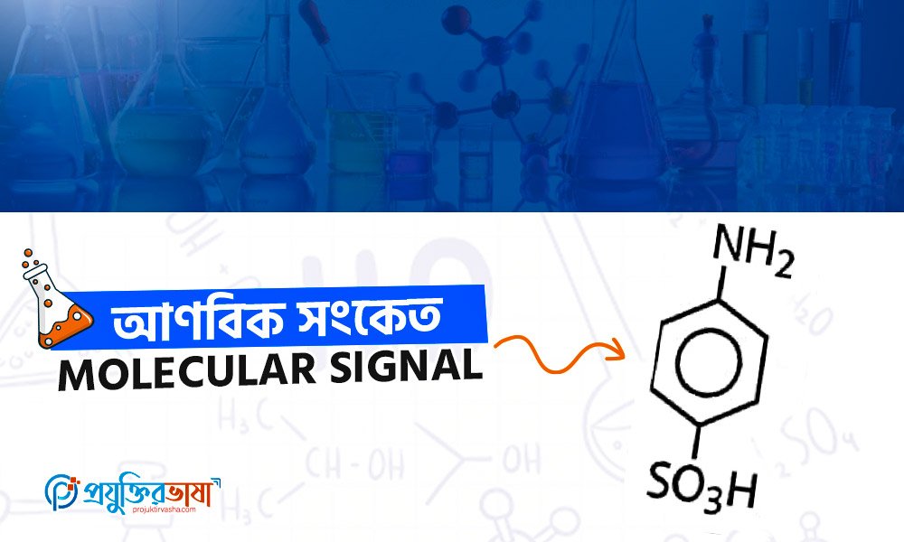 আণবিক সংকেত (Molecular Signals)
