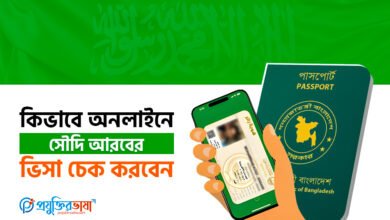 কিভাবে অনলাইনে সৌদি আরবের ভিসা চেক করবেন