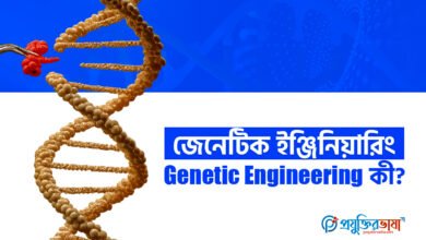 জেনেটিক ইঞ্জিনিয়ারিং