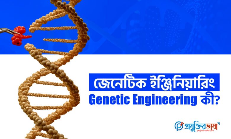 জেনেটিক ইঞ্জিনিয়ারিং