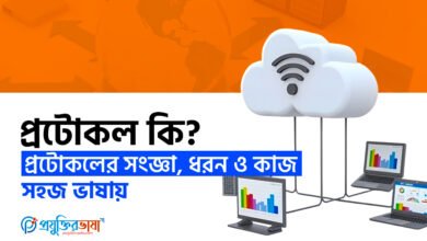 প্রটোকল কি?