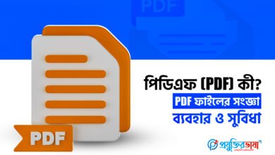 পিডিএফ (PDF) কী?