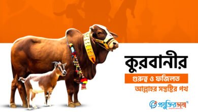 কুরবানীর গুরুত্ব ও ফজিলত: আল্লাহর সন্তুষ্টির পথ