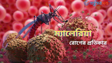 ম্যালেরিয়া রোগের প্রতিকার ও প্রতিরোধ।