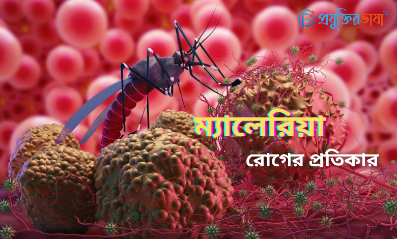 ম্যালেরিয়া রোগের প্রতিকার ও প্রতিরোধ।