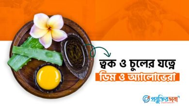 ত্বক ও চুলের যত্নে এলোভেরা ও ডিম