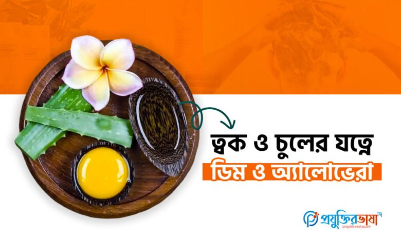 ত্বক ও চুলের যত্নে এলোভেরা ও ডিম