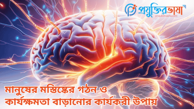 মানুষের মস্তিষ্কের গঠন ও কার্যক্ষমতা বাড়ানোর কার্যকরী উপায়