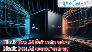 Black Box AI