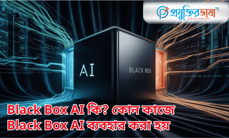 Black Box AI
